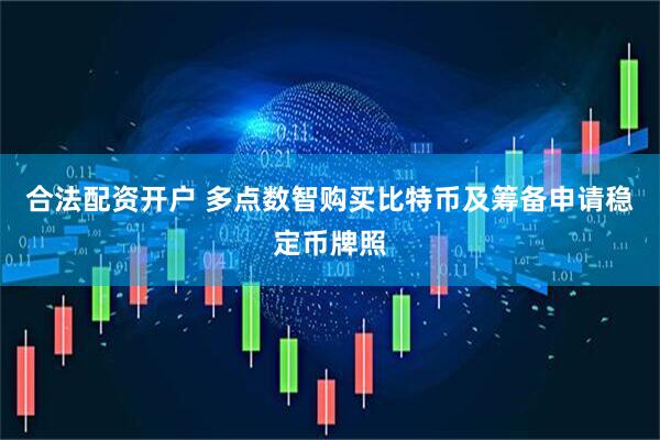 合法配资开户 多点数智购买比特币及筹备申请稳定币牌照